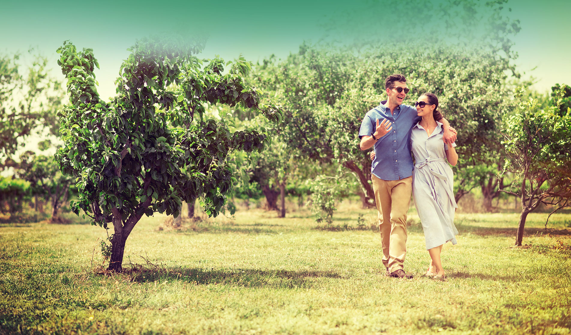 Buy Land for Sale Melbourne Donnybrae